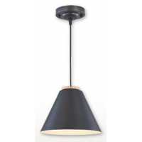 餐吊燈 PLD-B55263