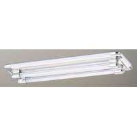 吸頂日光燈/T8 LED 燈管 2尺X2  PLD-B56267