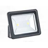 LED 100W 投光燈洗牆燈 PLD-739389