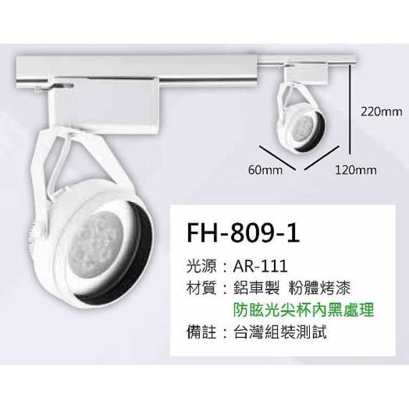 AR111 15W軌道燈 FH- 809-1C