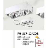 AR111 9W無邊框盒燈/崁孔155X300mm FH- 817-12K