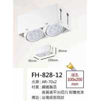 AR70 10W全白無邊框盒燈/崁孔100X200mm FH- 828-12A