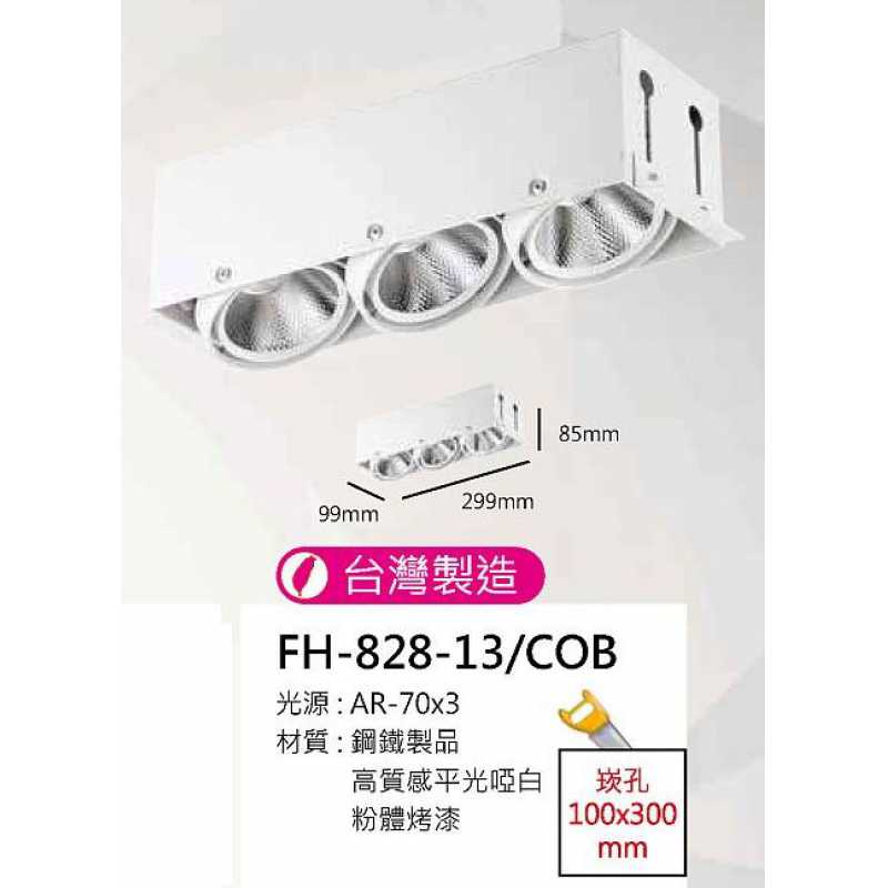 AR70 12W全白無邊框盒燈/崁孔100X300mm FH- 828-13G