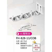 AR70 15W全白無邊框盒燈/崁孔100X300mm FH- 828-13H