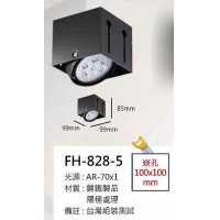 AR70 15W無邊框盒燈/崁孔100X100mm FH- 828-5C