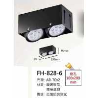 AR70 10W無邊框盒燈/崁孔100X200mm FH- 828-6A