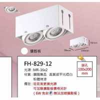 MR16 6W無邊框盒燈/崁孔100X200mm FH- 829-12B