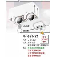 MR16 6W防眩光無邊框盒燈/崁孔100X200mm FH- 829-22B