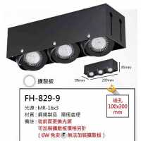 MR16 10W無邊框盒燈/崁孔100X300mm FH- 829-9C