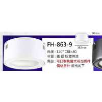 模組式 15W筒燈 FH- 863-9A