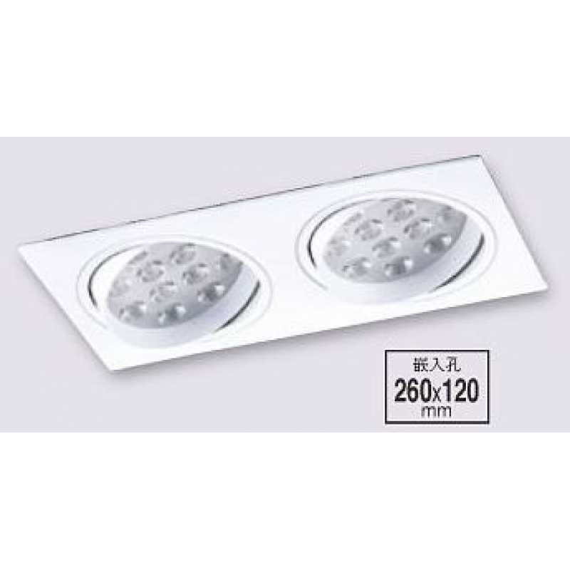 LED 15WX2 崁入式盒燈 PLD-A25258