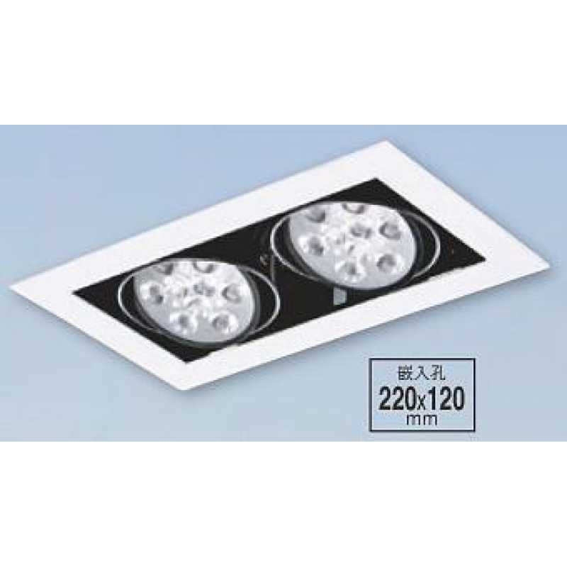 LED 12WX2 崁入式盒燈 PLD-B25255