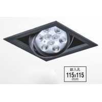 LED 12WX1 崁入式盒燈 PLD-G25251